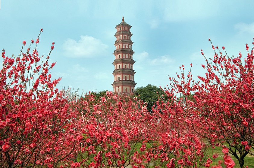 莲花古塔.jpg