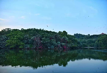 广州市番禺莲花山旅游区关于莲花湖莲芳亭及九曲廊板底抹灰工程评标结果公示