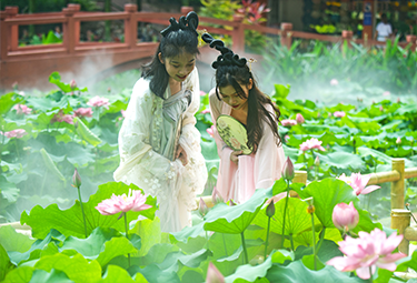 广州市番禺莲花山旅游区关于莲花湖莲芳亭及九曲廊板底抹灰工程的招标公告