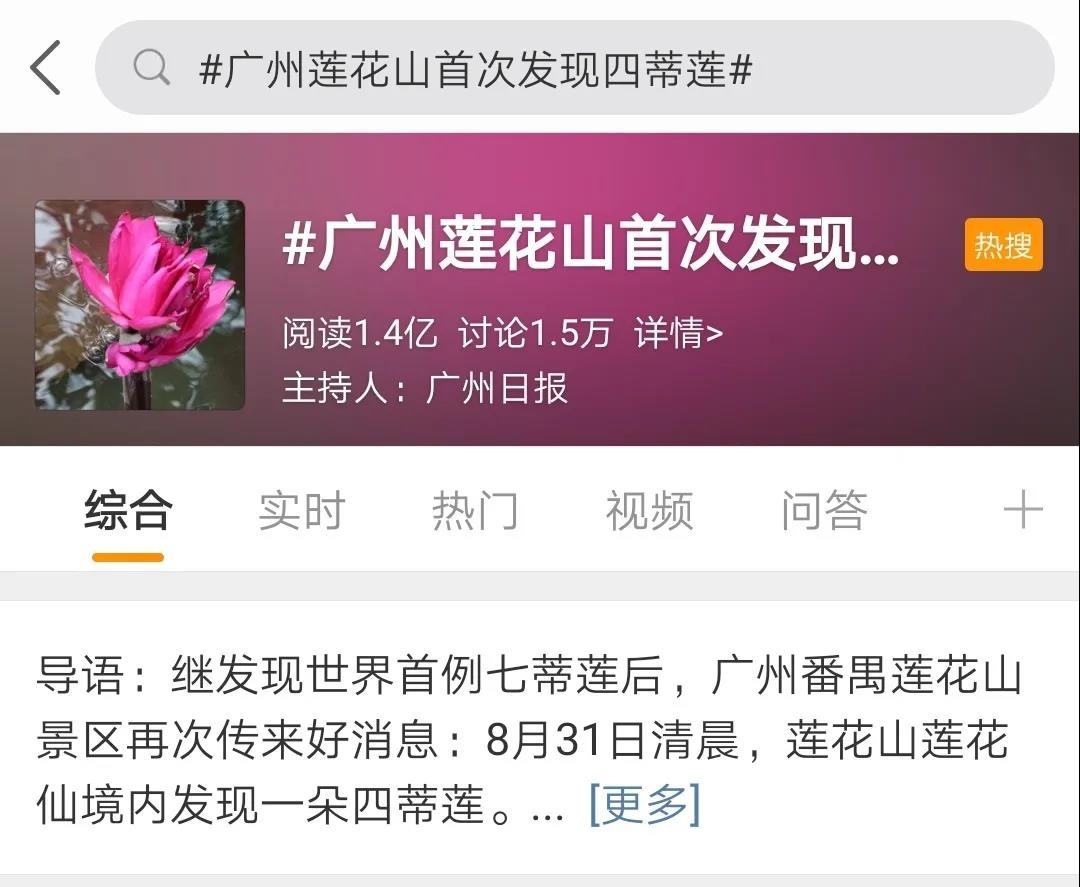 渣都碌埋，热到飞起！为何？为荷，穗有瑞莲嘛