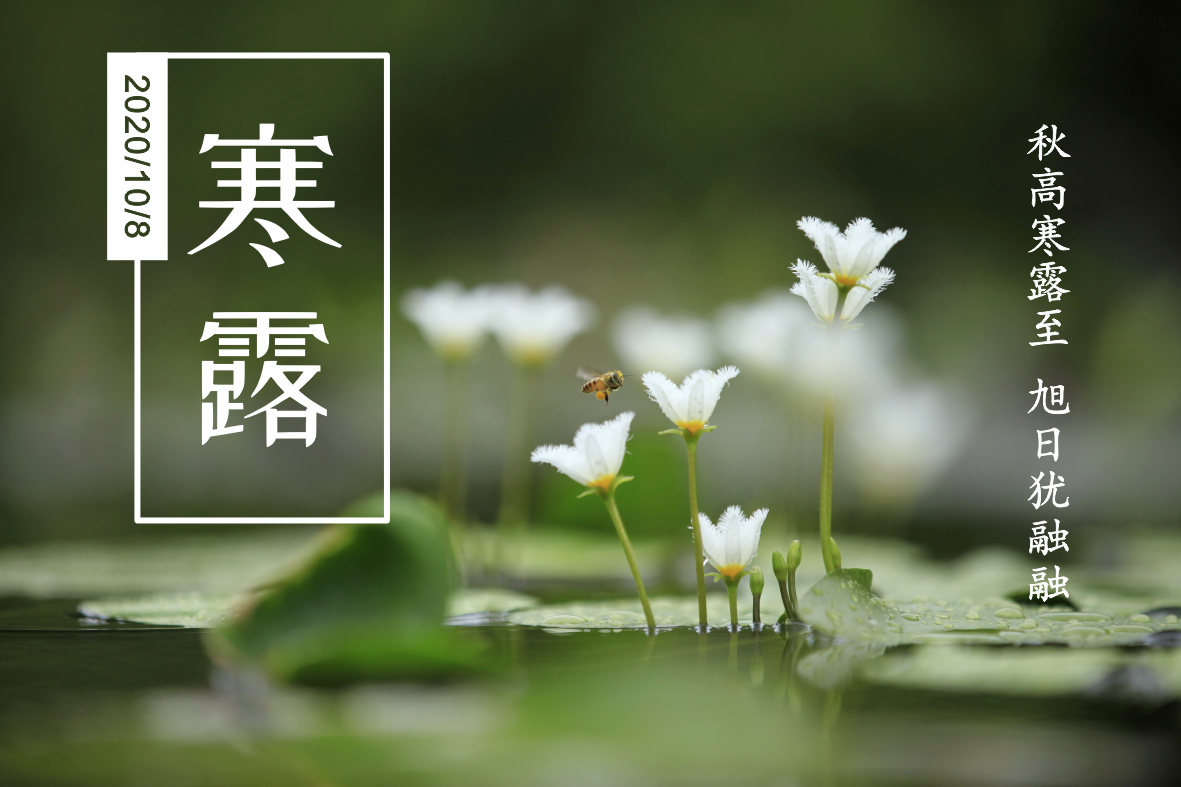 寒露至 秋意浓