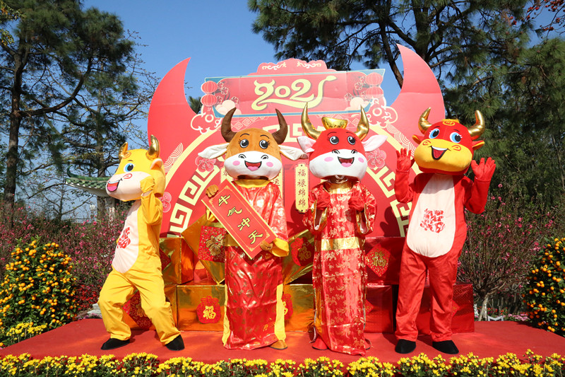 就地过年？莲花山邀你爬金山、赏桃花一起过大年！