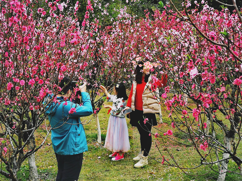 莲花山网红打卡点，让你牛年牛上加牛！