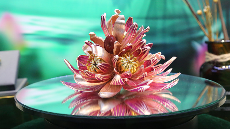 这个春天，七蒂莲“开花”啦！