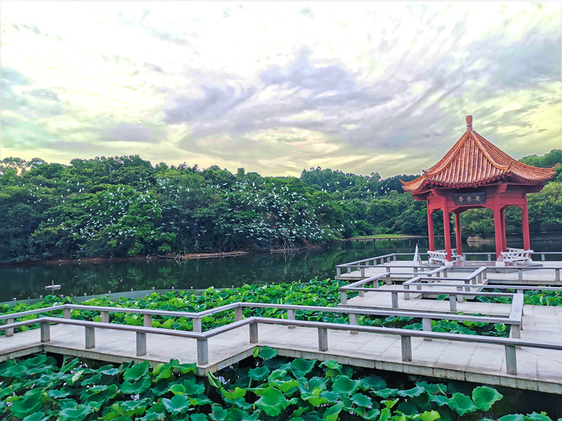 广州莲花山景区管理有限公司关于古采石场飞鹰古道出口栈道安全检测工作的招标信息