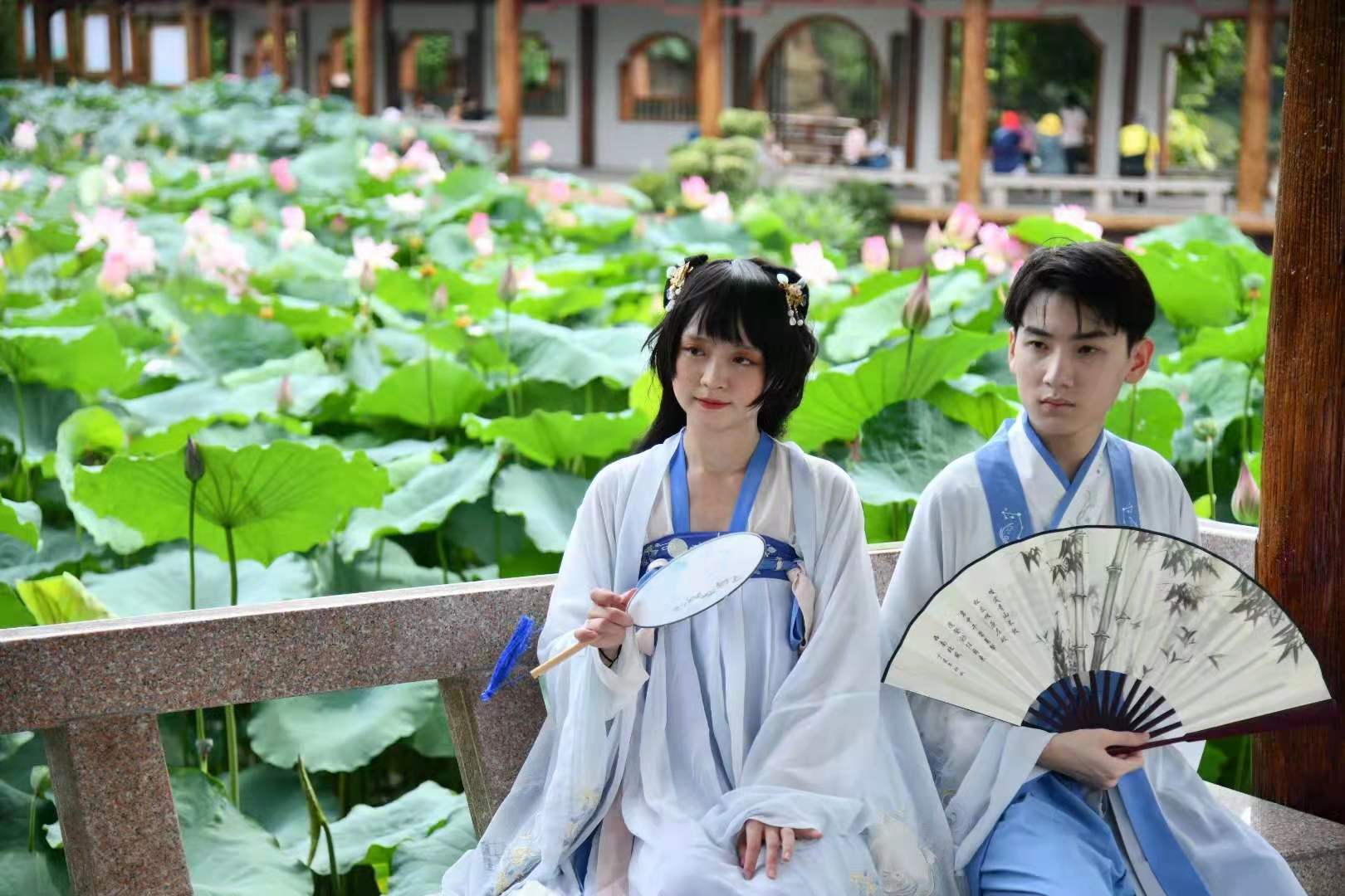 大暑，炎炎夏日，以荷消暑