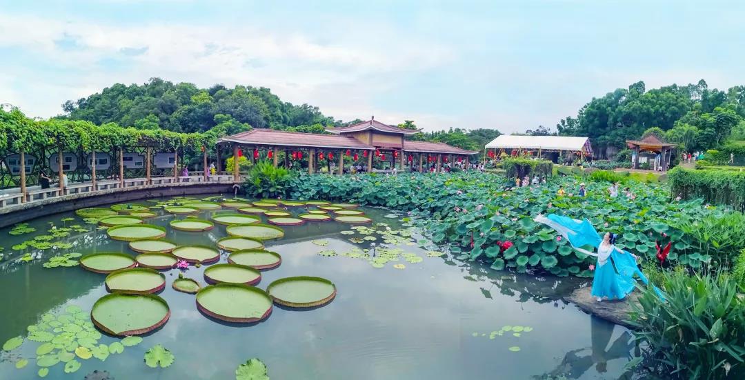 倒计时！分享你与莲花山的故事，来参展、赢年卡！