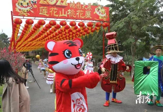 【转自南方+】万株桃树迎春盛开，卡通人物劲舞巡游，广州莲花山年味十足