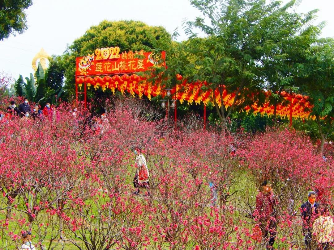 正月祈福月，中国情人节，西方情人节，吉祥喜庆甜蜜啱晒你