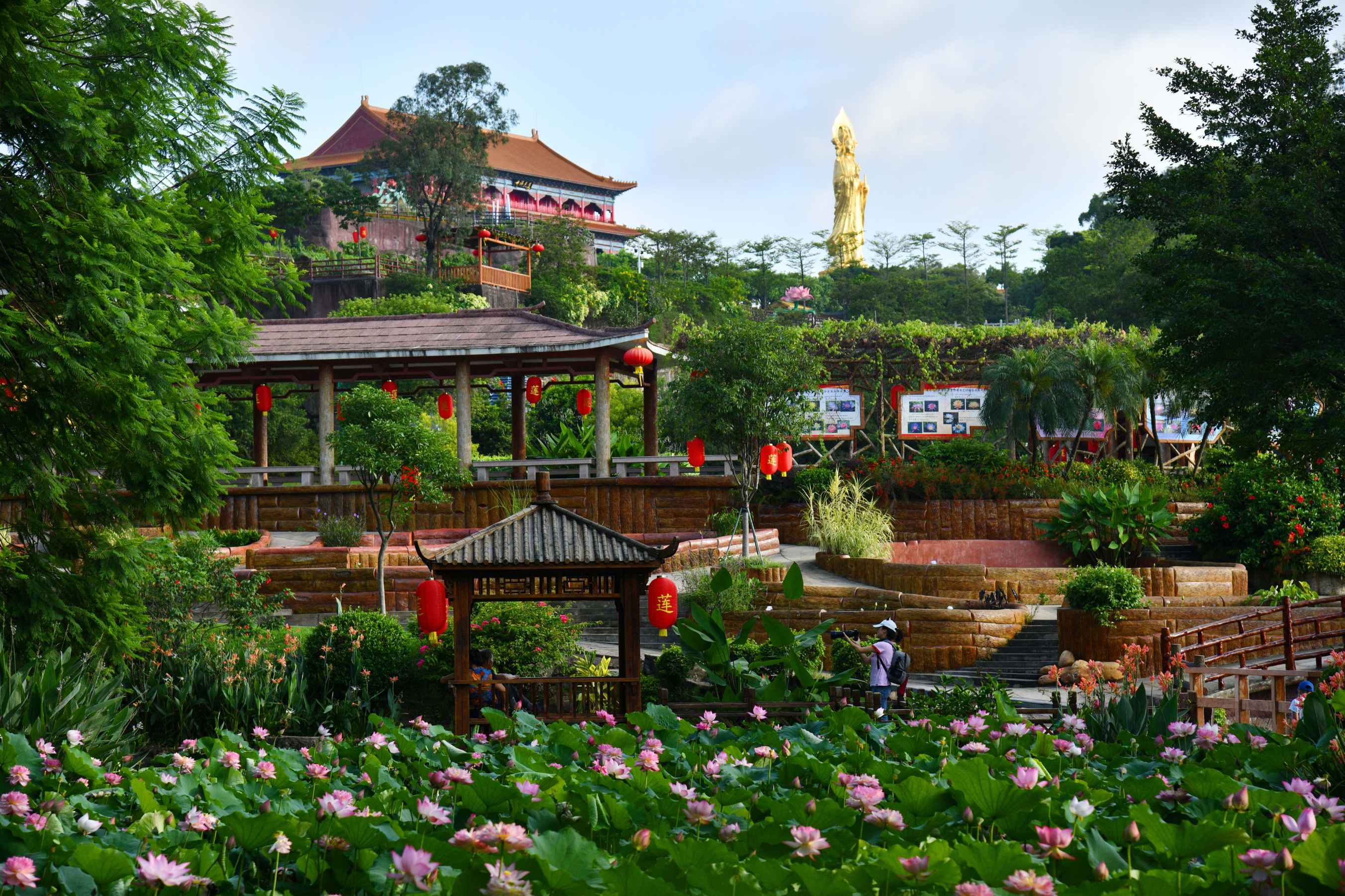 三大好消息来袭！来一场说走就走的旅行！