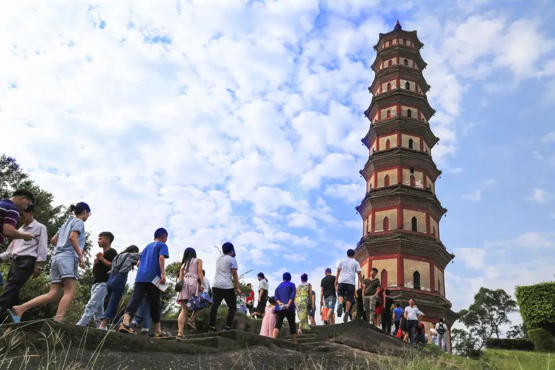 莲花山重阳登高，来之前要知道这些……