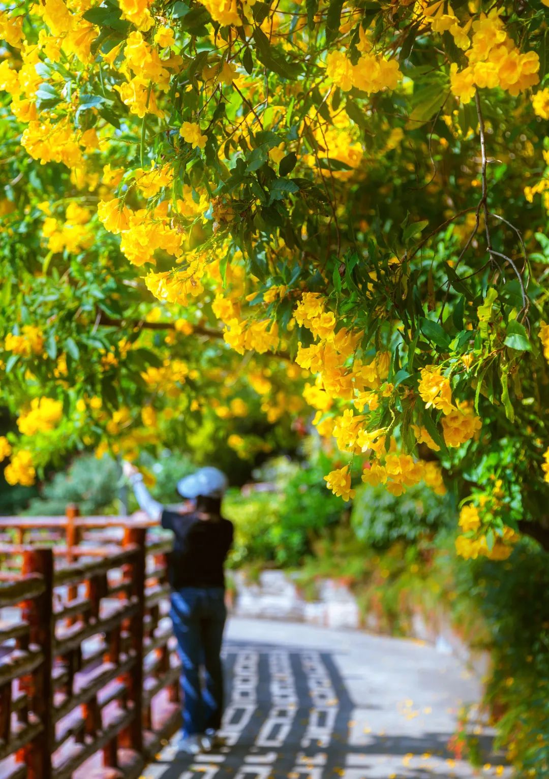 限定版童话世界，在这儿…