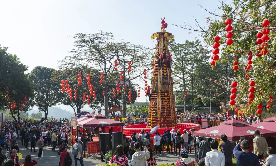爬金山、扒金山，百花盛放陪你欢乐开年~