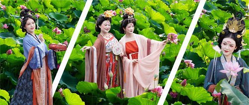 藏不住啦！夏天来这里看世界千种荷花！