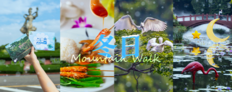 抢11元门票，来这个宝藏冬游地，开启冬天的第一场Mountain Walk吧！