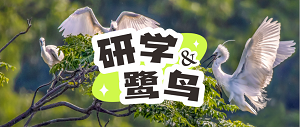 【趣研学】探寻鹭鸟栖息地，变身自然科普小达人！