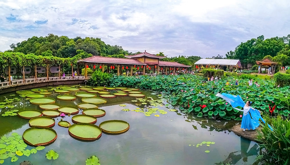 图片展示