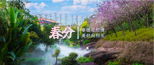 「春」光明朗，「分」外可爱！来这里和春天抱个满怀！