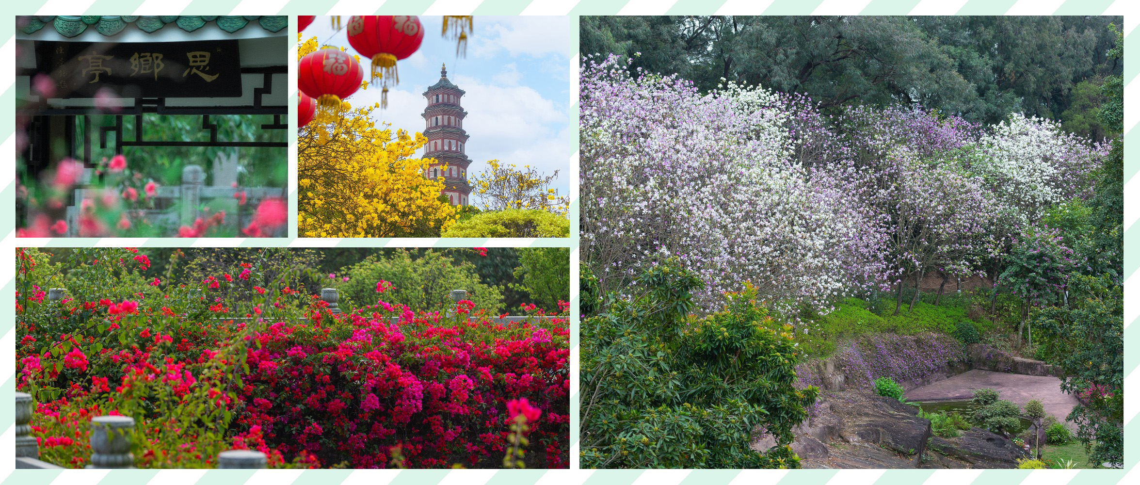 清明，春和景盛，踏青怀古
