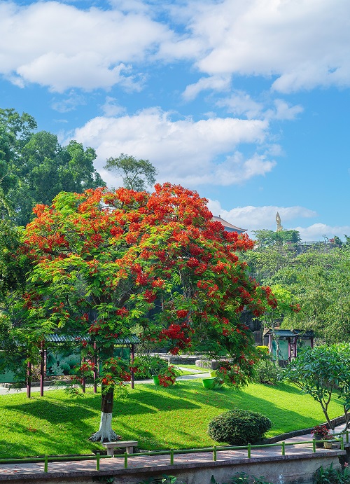 【开园通告】广州莲花山旅游区恢复开园啦！！！