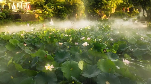 【通告】广州莲花山莲花仙境部分时段人工水雾暂停开启