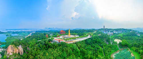 回顾佳绩，感恩同行丨2024再见，携手共赴新篇章！