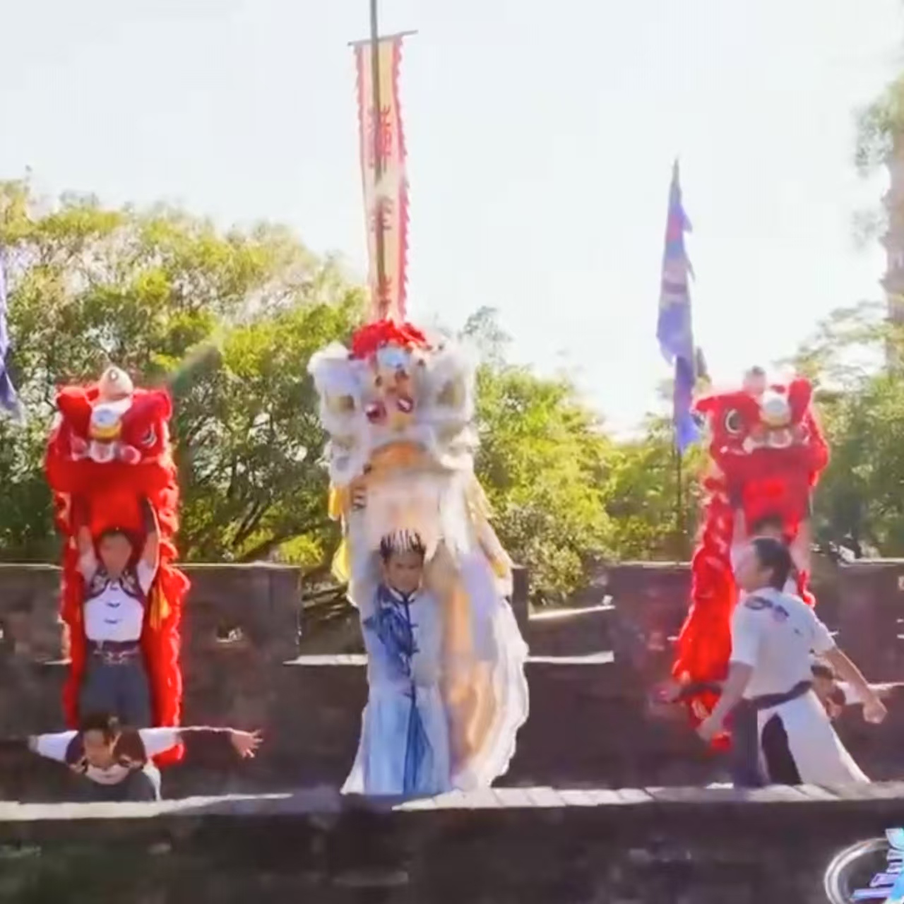 跃上央视！广州莲花山上演千年醒狮魂