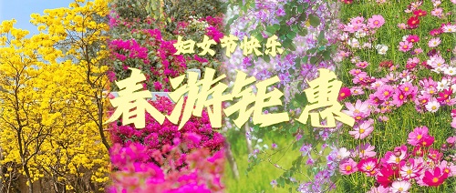 人均200+拎包入住！私享绝美花海！