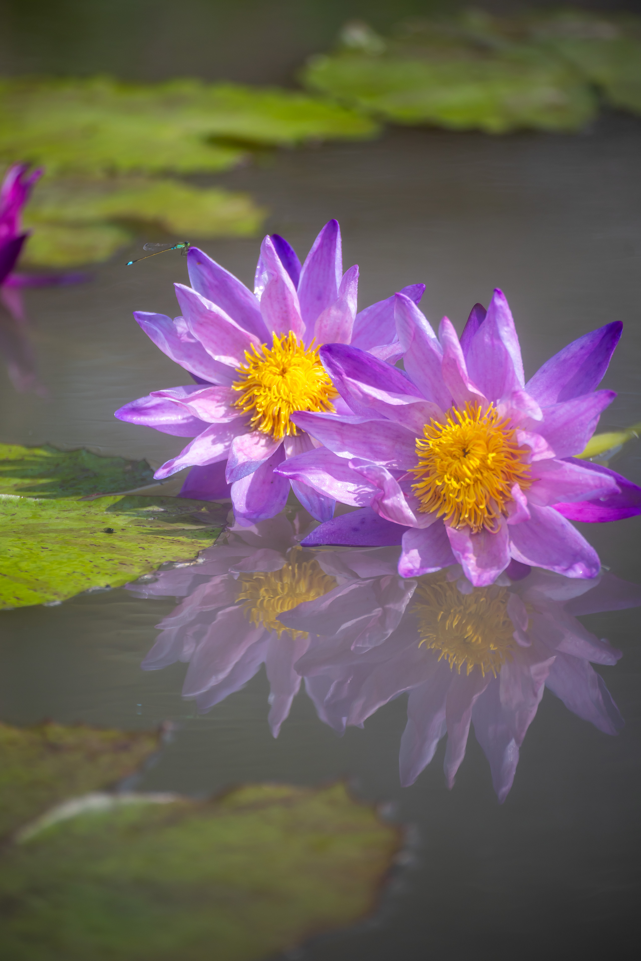 美美美！整个秋冬这里都将是……