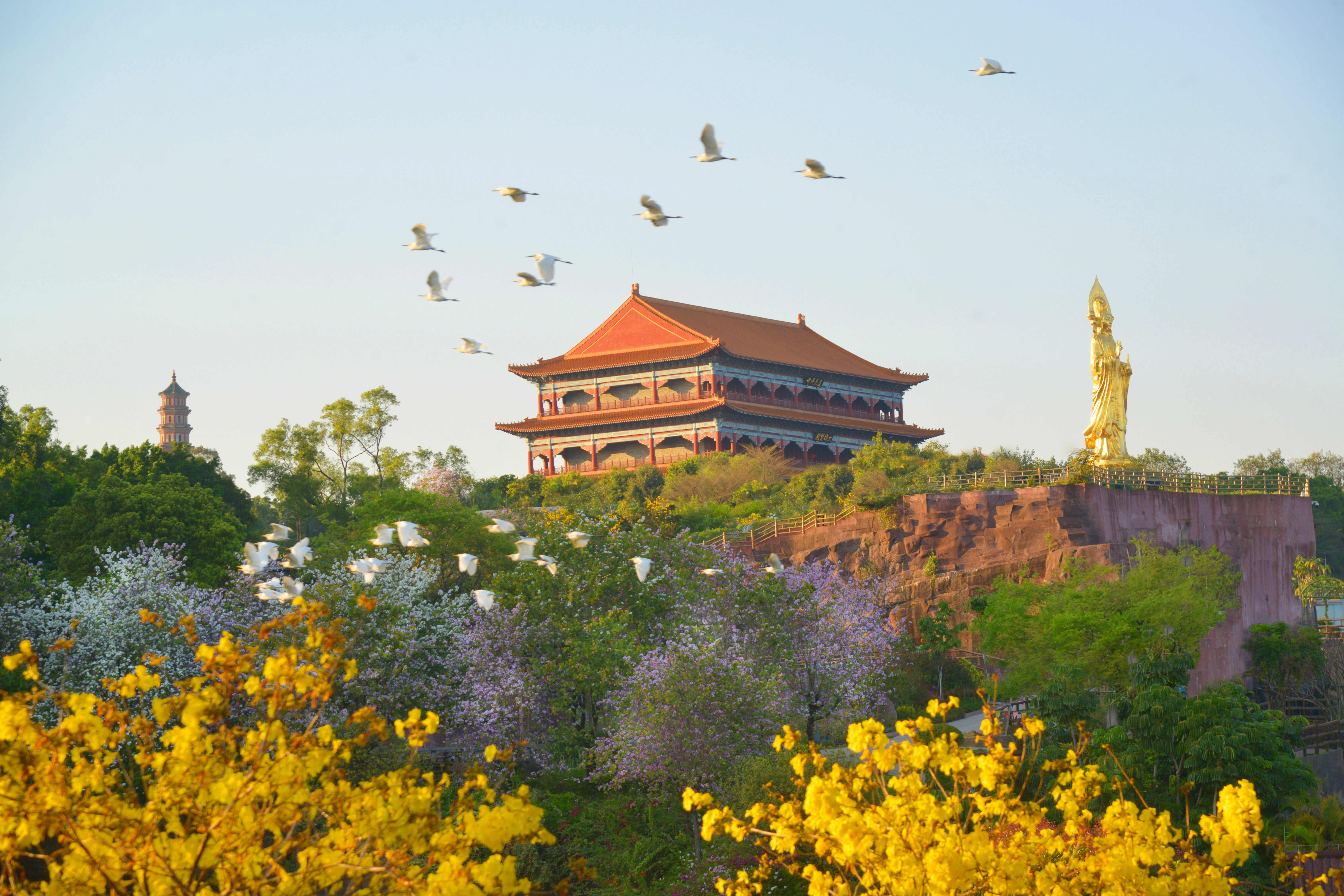 莲花山景区“5·19”中国旅游日免票活动出行必读！