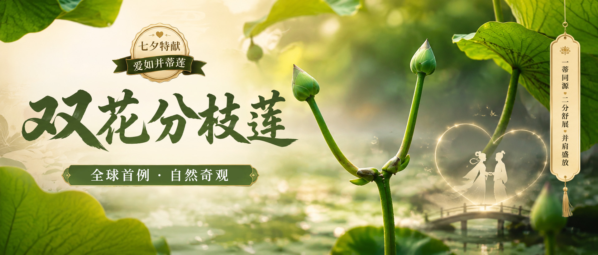 这次，连专家都说“从没见过”！2026荷花季压轴“王炸”来了！