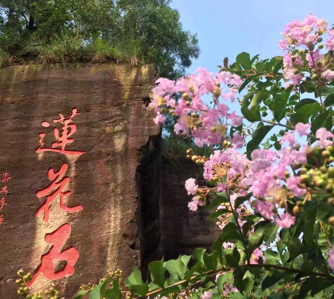 莲花山旅游区关于雪糕项目供应商选定结果的公示
