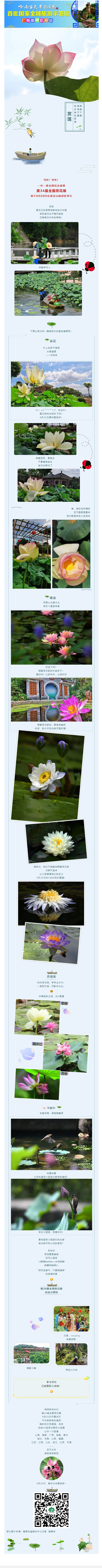 ad1756ab3953753c88d3dafc9f59217.png