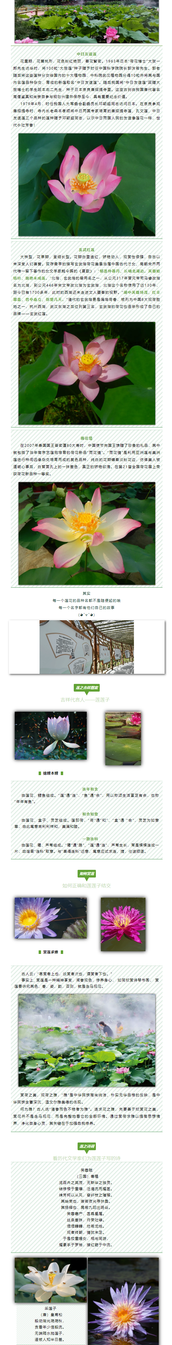图层 3.png