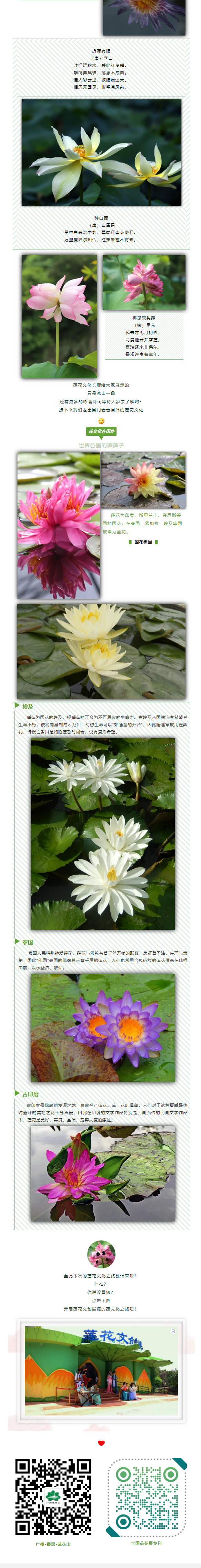 图层 1.png