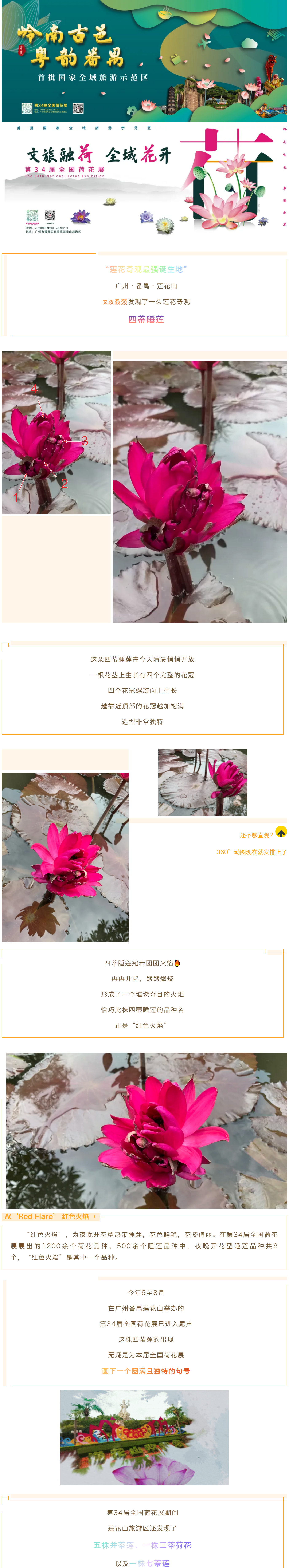 图层 2.png