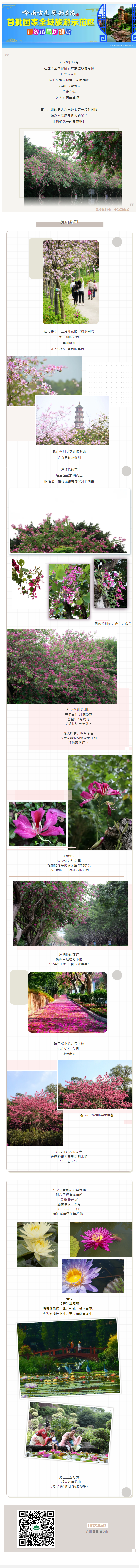 942d107c74a916ef0ac15a74eaed6a5.png