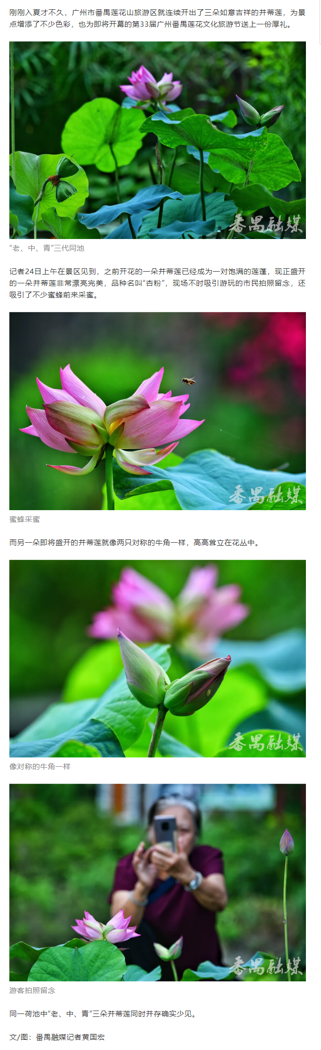 微信图片_20210526091353.png